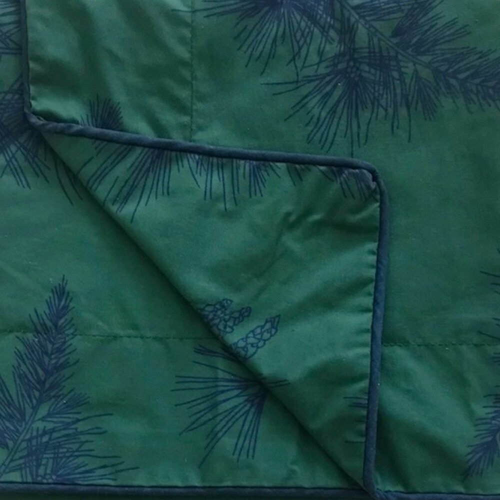 LANDS' END COMING HOME COLLECTION GREEN W/ BLUE PINECONES EURO PILLOW SHAMS- 2